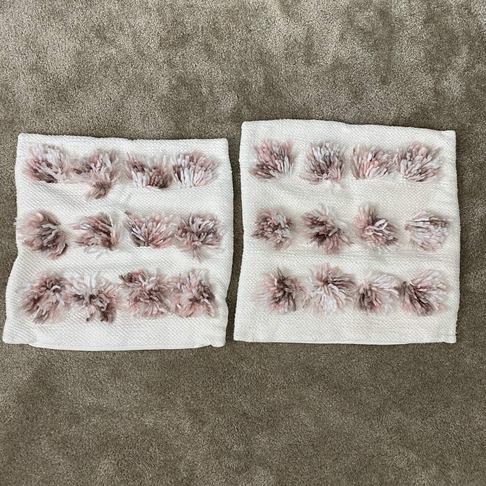 Decorative pillow case- set of 2